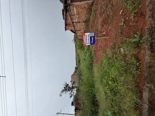 #8 - Terreno para Venda em Aparecida de Goiânia - GO - 2